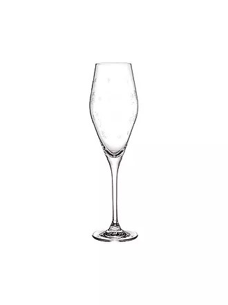 VILLEROY & BOCH | Toy's Delight Sektkelch Set 2tlg. 252mm | transparent