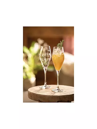 VILLEROY & BOCH | Toy's Delight Sektkelch Set 2tlg. 252mm | transparent
