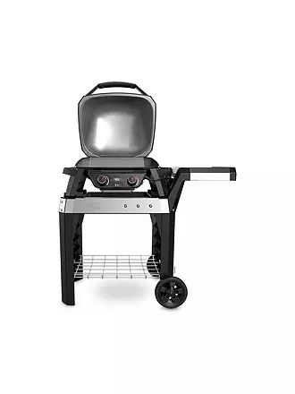 WEBER GRILL | E-Grill 