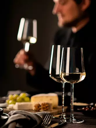 ZWIESEL GLAS | Allround Weinglas  2er Set JOURNEY | transparent