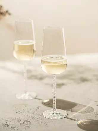 ZWIESEL GLAS | Champagnerglas 2er Set JOURNEY | transparent