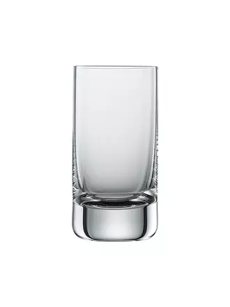 ZWIESEL GLAS | Schnapsglas 6er Set SIMPLE 46ml | transparent