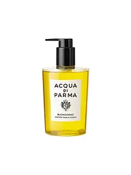 ACQUA DI PARMA | Buongiorno Hand & Body Wash 300ml | keine Farbe