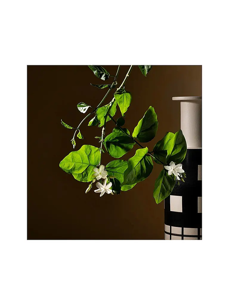 ACQUA DI PARMA | Gelsomino A Freddo Ambrosia Extrait de Parfum 50ml | 