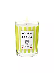 ACQUA DI PARMA | Kerze - Pineta Limited Edition 200g | keine Farbe
