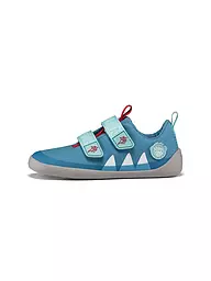 AFFENZAHN | Kinder Sneaker Barfußschuh COTTON LUCKY Tiger | hellblau