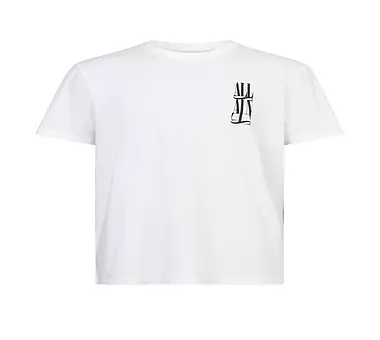 ALLSAINTS T-Shirt SEGMENT