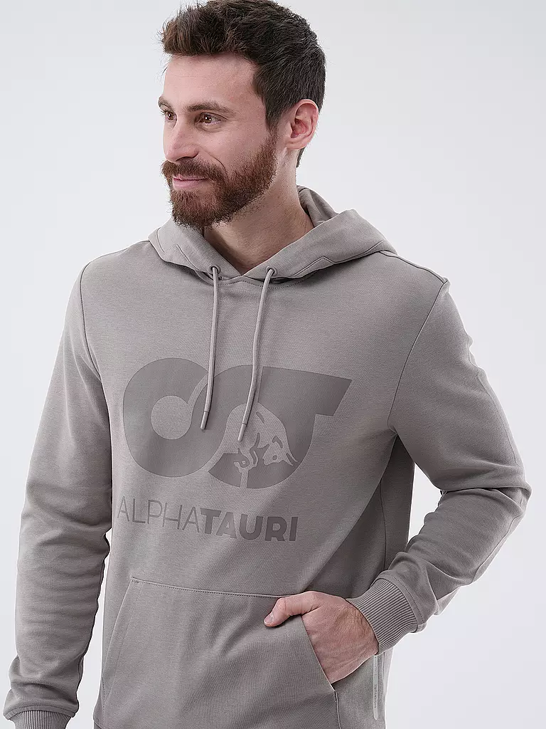 ALPHATAURI | Kapuzensweater - Hoodie SHERO | grau