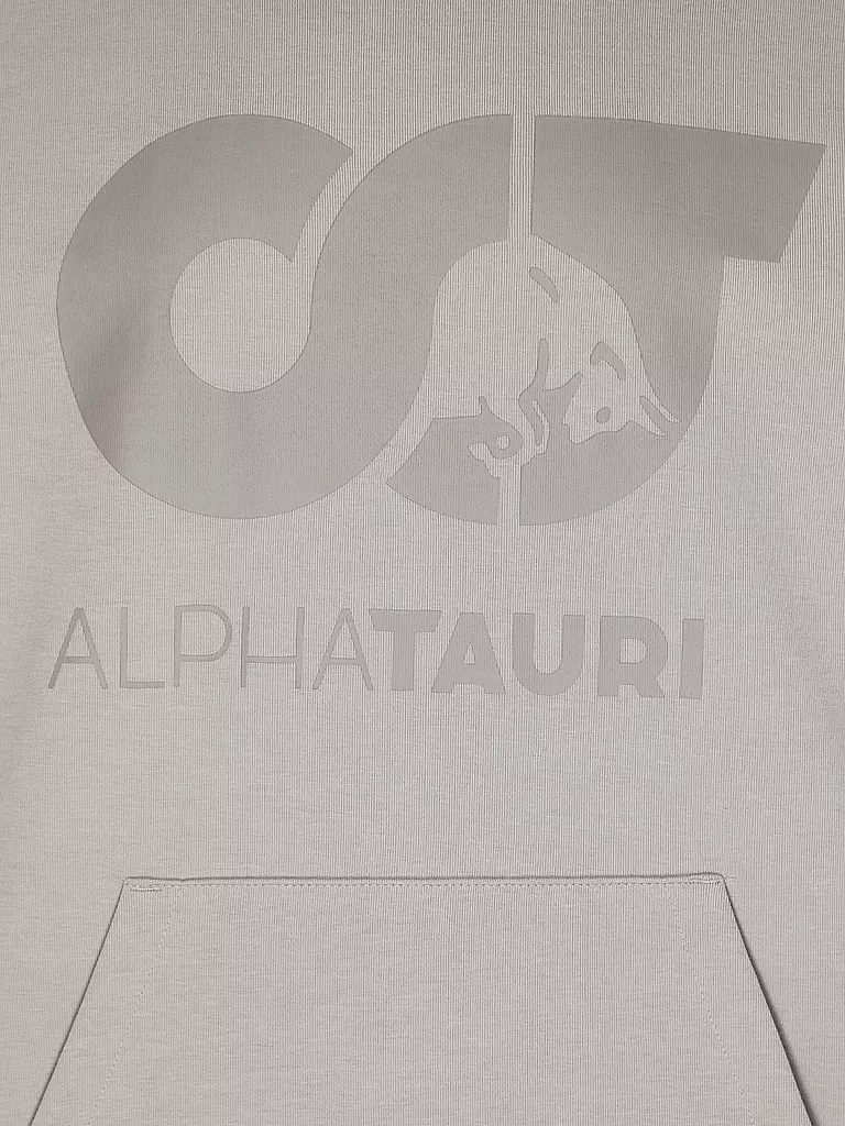 ALPHATAURI | Kapuzensweater - Hoodie SHERO | grau