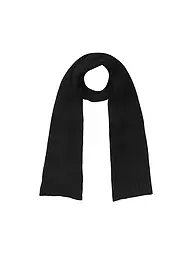 ALPHATAURI | Schal AMBAR | schwarz
