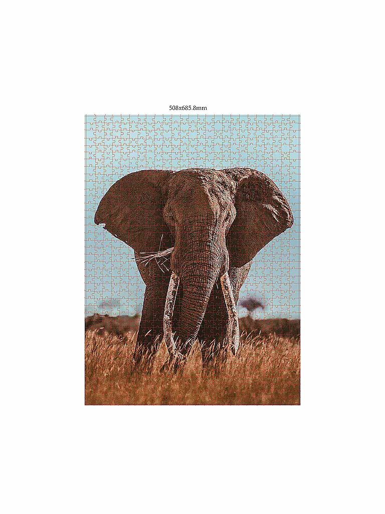 AMBASSADOR | Puzzle - Afrikanischer Elefant 1000 Teile (Donal Boyd) | keine Farbe