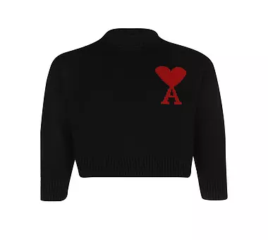 AMI PARIS Rollkragenpullover