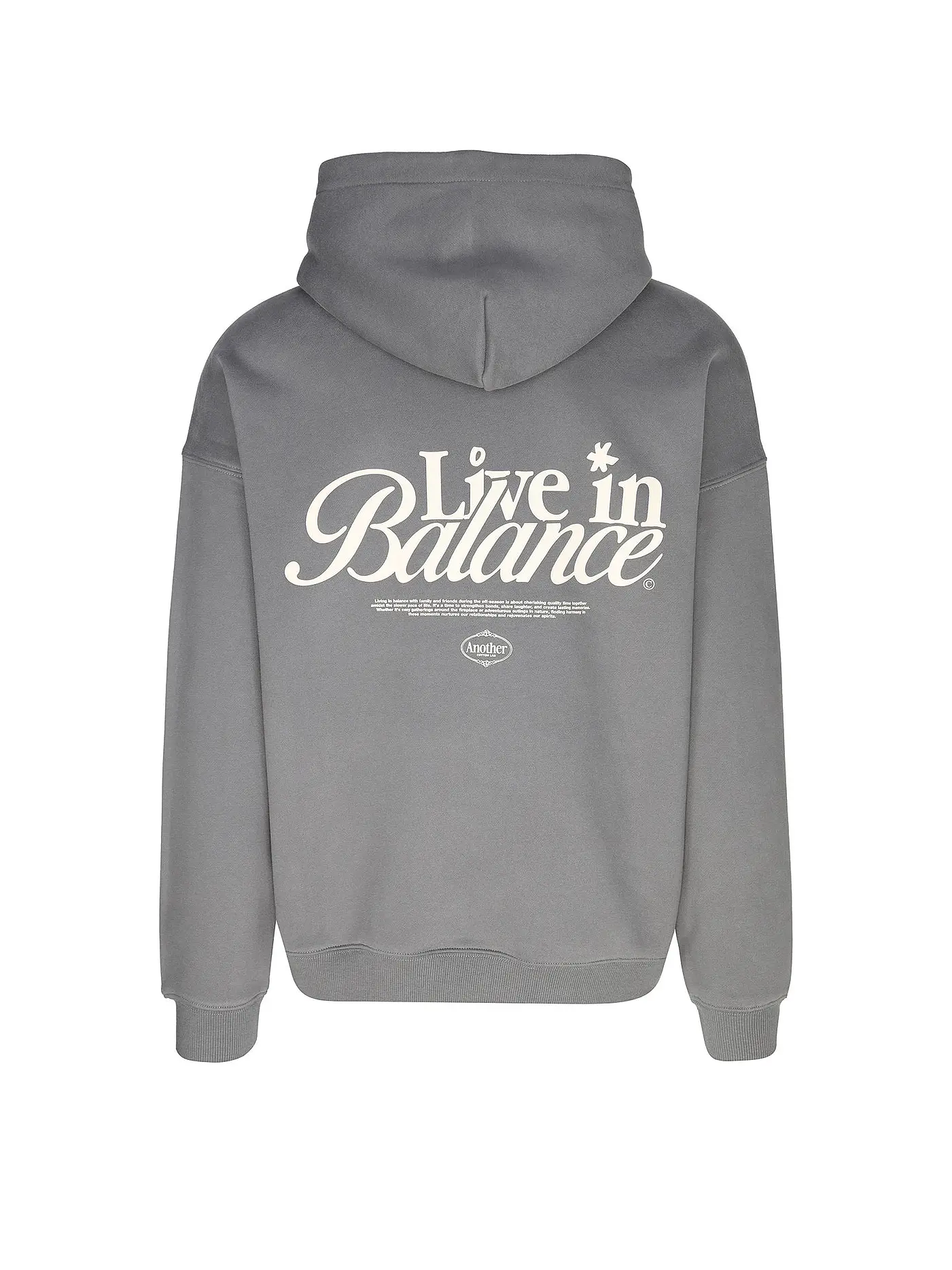 ANOTHER COTTON LAB | Kapuzensweater - Hoodie  | grau
