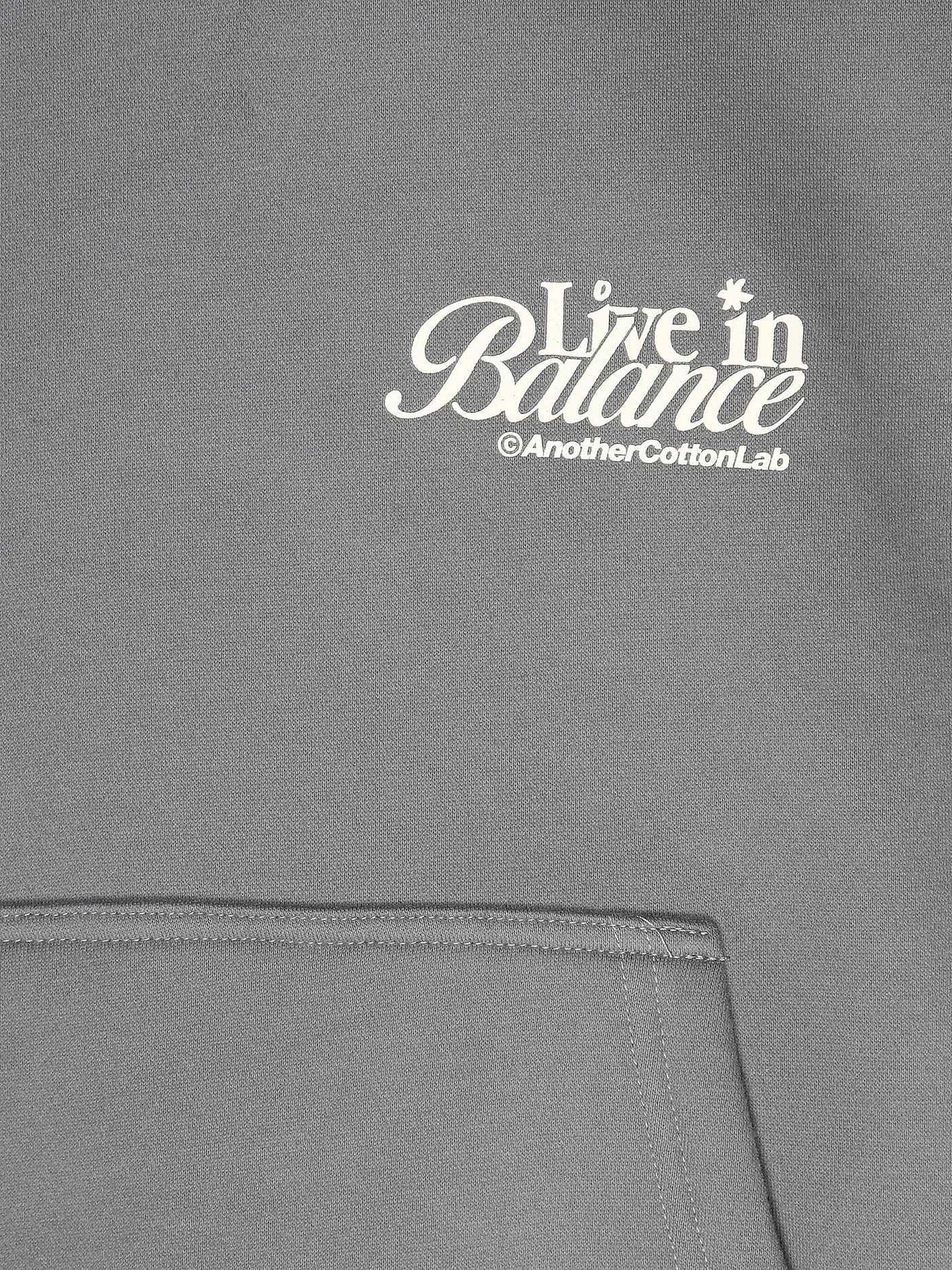 ANOTHER COTTON LAB | Kapuzensweater - Hoodie  | grau
