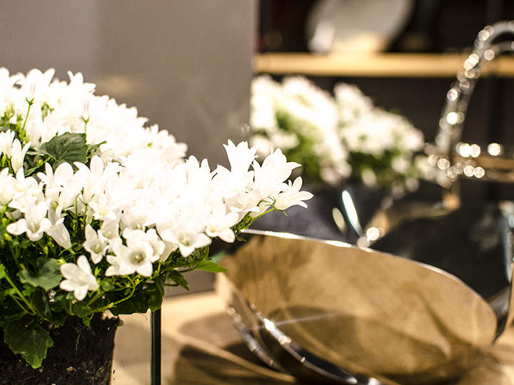 Eine Nahaufnahme von weißen Blumen in einer Glasvase, die auf einer Holzoberfläche steht. Im Hintergrund ist ein dekoratives Metallobjekt zu sehen, auf dessen Oberfläche eine verschwommene Spiegelung der Blumen zu sehen ist.