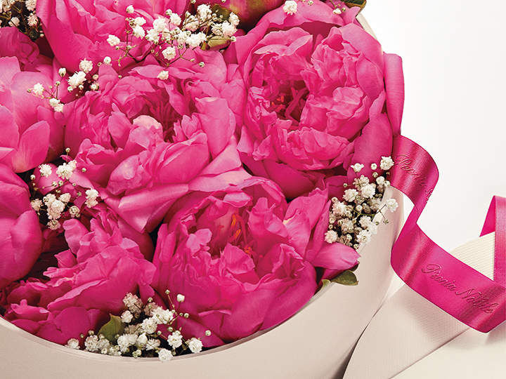 Ein Strauß leuchtend rosa Pfingstrosen mit zartem weißem Schleierkraut, eingewickelt in helles Papier mit einer rosa Satinschleife.