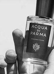 Eine Hand hält eine Flasche Acqua di Parma Colonia Pura-Parfüm und präsentiert das elegante Design und Etikett. Das Bild ist in Schwarzweiß.