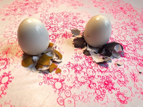 Zwei weiße Eier auf einer rosa gemusterten Oberfläche, umgeben von zerbrochenen Schalen. Die Schale links ist überwiegend braun und die Schale rechts überwiegend blaugrau.