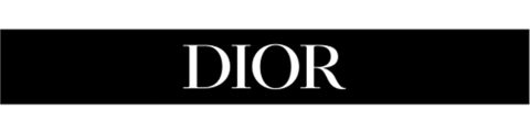 Dior_960x240px_v4