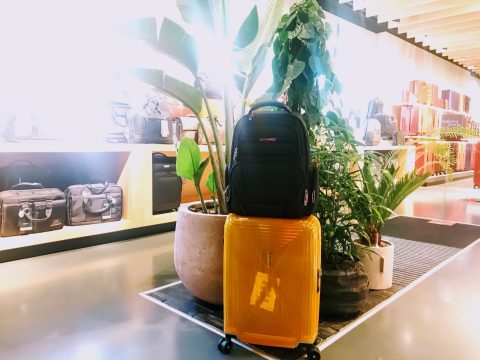 Ein schwarzer Rucksack steht auf einem leuchtend gelben Koffer neben großen Topfpflanzen in einem modernen Geschäft. Im Hintergrund sind Regale mit verschiedenen Taschen und Gepäckstücken zu sehen.