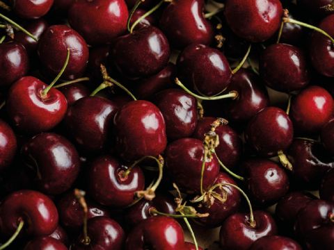 Eine Nahaufnahme zahlreicher reifer roter Kirschen mit grünen Stielen. Die Kirschen haben einen glänzenden Schimmer, der Frische signalisiert. Einige Stiele sind sichtbar und bilden einen Kontrast zu den satten Rottönen der Frucht.