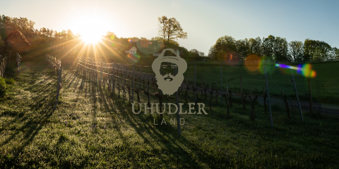 Sonnenuntergang über einem Weinberg mit einer Baumsilhouette und einem Haus im Hintergrund. Die Sonnenstrahlen erzeugen einen warmen Schimmer in der Landschaft. Das Textlogo in der Mitte lautet „Uhudler Land“ mit einem stilisierten bärtigen Mann mit Hut.