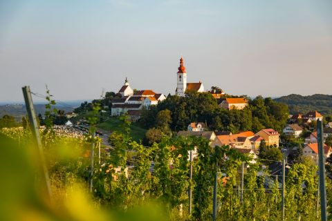 Malerische Aussicht auf ein malerisches Dorf auf einem Hügel mit einem markanten Kirchturm und umliegenden malerischen Gebäuden. Im Vordergrund ist ein üppiger Weinberg unter klarem Himmel zu sehen, der die idyllische Landschaft noch verstärkt.