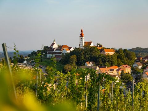 Malerische Aussicht auf ein malerisches Dorf auf einem Hügel mit einem markanten Kirchturm und umliegenden malerischen Gebäuden. Im Vordergrund ist ein üppiger Weinberg unter klarem Himmel zu sehen, der die idyllische Landschaft noch verstärkt.