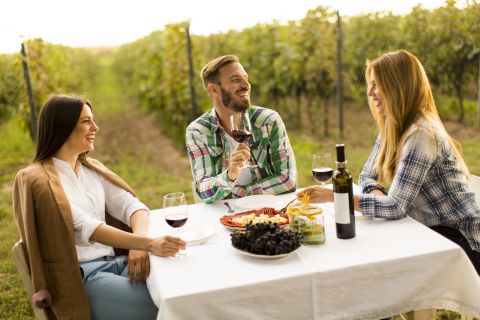 Drei Personen sitzen draußen an einem Tisch in einem Weinberg und genießen Wein und Snacks. Sie lachen und scheinen in ein Gespräch vertieft zu sein. Der Tisch ist mit Trauben, Käse und einer Weinflasche gedeckt.