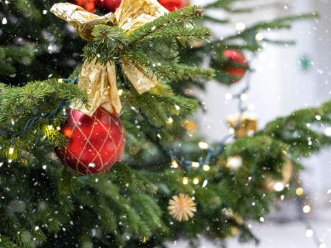 K&Ö Weihnachtsengel_2021_ Tipps