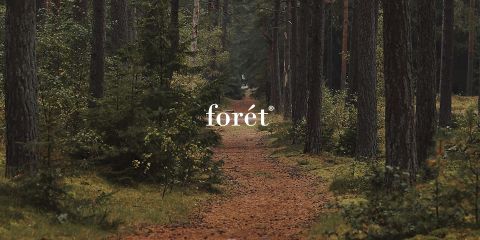 Ein ruhiger Waldweg, umgeben von hohen, dichten Bäumen und üppigem Grün. Der Boden ist mit Laub bedeckt und die Atmosphäre wirkt ruhig und einladend. Das Wort „forét“ steht prominent in der Bildmitte.