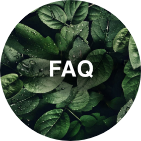 Ein kreisförmiges Bild mit dem Wort „FAQ“ in der Mitte, überlagert auf einem Hintergrund aus üppigen grünen Blättern mit Wassertropfen darauf.
