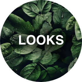 Ein kreisförmiges Bild mit grünen Blättern, die mit Wassertropfen bedeckt sind, als Hintergrund. Das Wort „LOOKS“ ist in fetten weißen Buchstaben deutlich in der Mitte zu sehen.