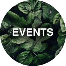 Kreisförmiges Bild mit frischen grünen Blättern mit Wassertropfen. Das Wort „EVENTS“ ist in fettem weißen Text zentriert über dem Laubhintergrund.
