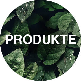 Ein kreisförmiges Bild mit dem Wort „PRODUKTE“ in weißer Schrift in der Mitte vor einem Hintergrund aus grünen Blättern mit sichtbaren Wassertropfen.