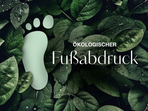 Eine Silhouette in Form eines Fußabdrucks auf grünen Blättern mit Regentropfen, mit dem deutschen Text „Ökologischer Fußabdruck“.