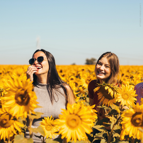 Zwei Frauen stehen lächelnd in einem Feld leuchtender Sonnenblumen unter einem klaren blauen Himmel. Eine Frau trägt eine Sonnenbrille und ein ärmelloses Top, die andere hat lange Haare und einen roten Pullover.