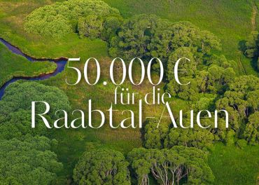 Eine Luftaufnahme einer üppig grünen Landschaft mit dichten Bäumen und einem gewundenen Fluss. Der darüber gelegte Text lautet in eleganter weißer Schrift „50.000 € für die Raabtal-Auen“.