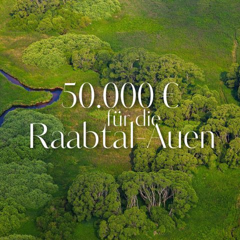 Luftaufnahme eines üppig grünen Feuchtgebiets mit Bäumen und einem gewundenen Bach. Der eingeblendete Text lautet „50.000 € für die Raabtal-Auen.“.