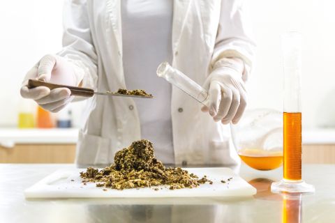 Eine Person im Laborkittel und mit Handschuhen füllt mit einem Werkzeug braune Erde in einen Glasbehälter. In einem daneben stehenden Becher befindet sich eine orange Flüssigkeit. Das Ganze steht auf einer weißen Oberfläche in einer Laborumgebung.