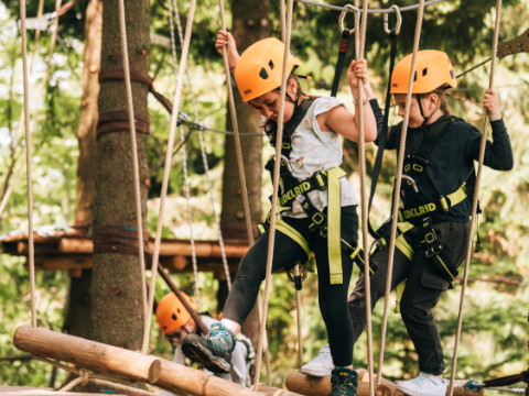Kinder mit orangefarbenen Helmen und Sicherheitsgurten durchqueren einen Hochseilgarten im Wald. Sie laufen vorsichtig auf Holzbalken und Seilen. Im Hintergrund sind grüne Blätter zu sehen.