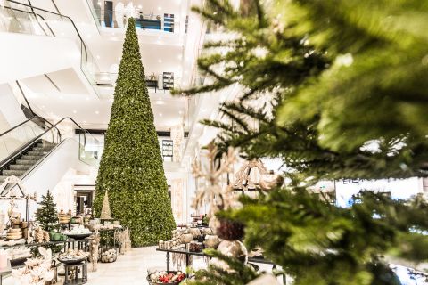 Ein großer, kegelförmiger Weihnachtsbaum, geschmückt mit grünem Laub, steht inmitten eines gut beleuchteten Einkaufszentrums. Auf der linken Seite sind Rolltreppen zu sehen, an seinem Fuß sind verschiedene kleine Pflanzen und Geschenkartikel arrangiert.