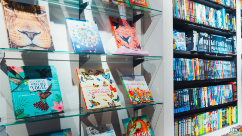 Bücherregal mit farbenfrohen Kinderbüchern und Comics. Die linken Regale zeigen illustrierte Bücher mit Tier-, Pflanzen- und Fantasy-Motiven. Die rechte Seite hat eine Wand mit ordentlich angeordneten Comics. Helle, einladende Atmosphäre.