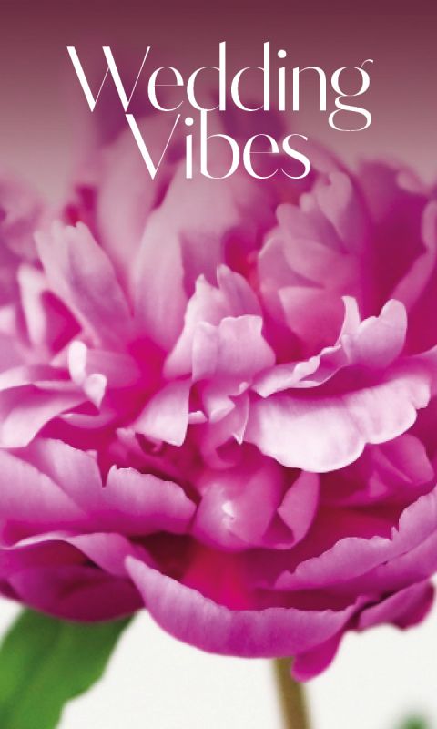 Nahaufnahme einer rosa Pfingstrose mit dem Text "Wedding Vibes Alles für die Hochzeit" auf einem rosa Hintergrund mit Farbverlauf.