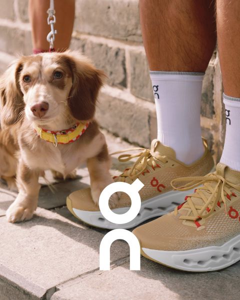 Zwei Sneaker der Marke „On“ werden auf einem strukturierten Ast vor einem farbenfrohen Sonnenuntergangshimmel präsentiert. Ein Schuh ist schwarz mit grauen Akzenten und der andere ist weiß mit dunkleren Details. Darunter ist das „On“-Logo sichtbar.