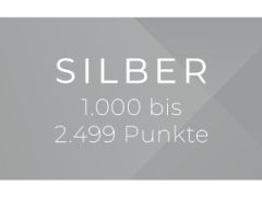 Grauer Hintergrund mit weißem Text „SILBER 1.000 bis 3.999.