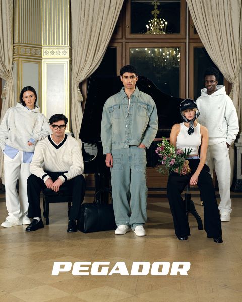 Pegador_FS252