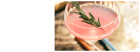 Ein rosafarbener Cocktail, garniert mit einem Rosmarinzweig in einem Coupe-Glas, in dem sich das Sonnenlicht spiegelt.