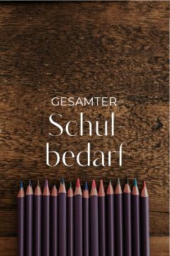 Buntstifte sind auf dem Boden einer Holzfläche aufgereiht. In der Mitte steht in weißen Lettern der deutsche Text "Gesamter Schulbedarf".