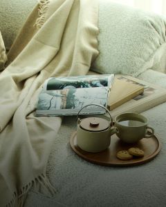 Eine gemütliche Umgebung mit einer weichen beigen Decke, einer aufgeschlagenen Zeitschrift und mehreren Büchern auf einem Sofa. Auf einem Holztablett stehen eine Teekanne, eine Tasse Tee und zwei Kekse, die eine warme und einladende Atmosphäre schaffen.